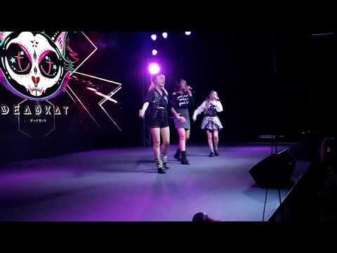 Deadkat : (N/A) @ Idol Mosh Pit : The Street Ratchada (20230218)