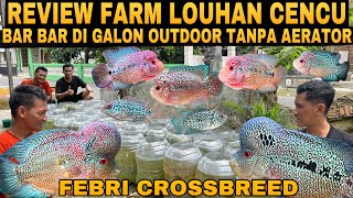Download lagu Grebek Farm LOUHAN CENCU BAR BAR di galon tanpa aerator hasilkan louhan terbaik di febri crossbreed mp3 Download lagu Grebek Farm LOUHAN CENCU BAR BAR di galon tanpa aerator hasilkan louhan terbaik di febri crossbreed mp3