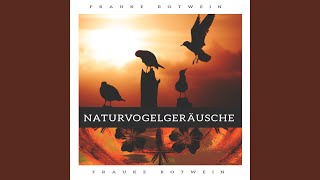 Download lagu Berkicau Menggema mp3 Download lagu Berkicau Menggema mp3