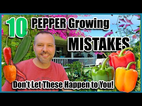, title : 'Pepper Growing Mistakes - How to Avoid or Fix Them...How to Grow Peppers.'