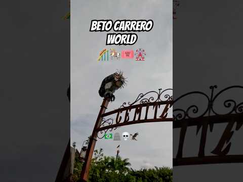¡Hasta el área de fumadores de Beto Carrero World parece de otro nivel! 🚬🎡🇧🇷#shorts #funny #fyp