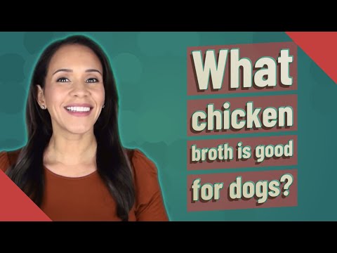 What chicken broth is good for dogs?