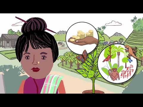 กฎระเบียบว่าด้วยสินค้าปลอดจากการตัดไม้ทำลายป่าของสหภาพยุโรป(EU Deforestation Regulation: EUDR)