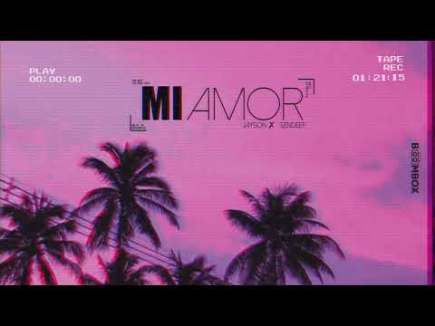 Jayson ✗ Sendeep - Mi Amor (Visualizer)