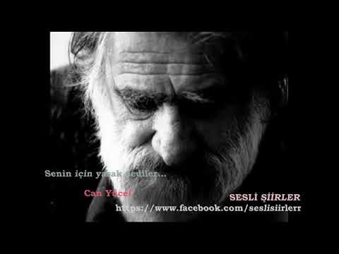 Can yücel    senin için yasak dediler