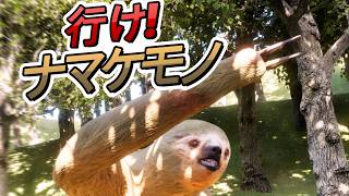 ナマケモノが死ぬ前に道路を渡りきるゲーム