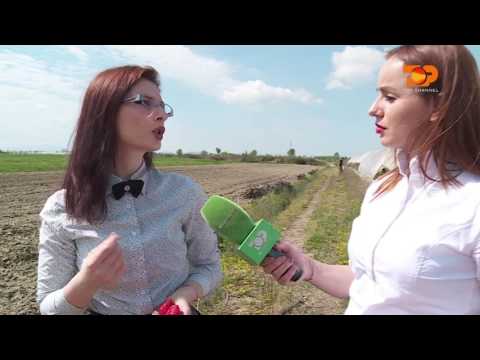 Ne Shtepine Tone, 27 Prill 2017, Pjesa 3 - Top Channel Albania - Entertainment Show