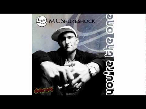 You're The One (The Hump Day Project Remix) - MC Shureshock