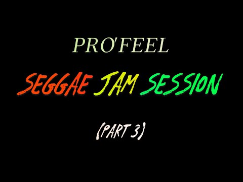 SOUL SEGGAE COVER BY CHRISTELLE ZAMIR