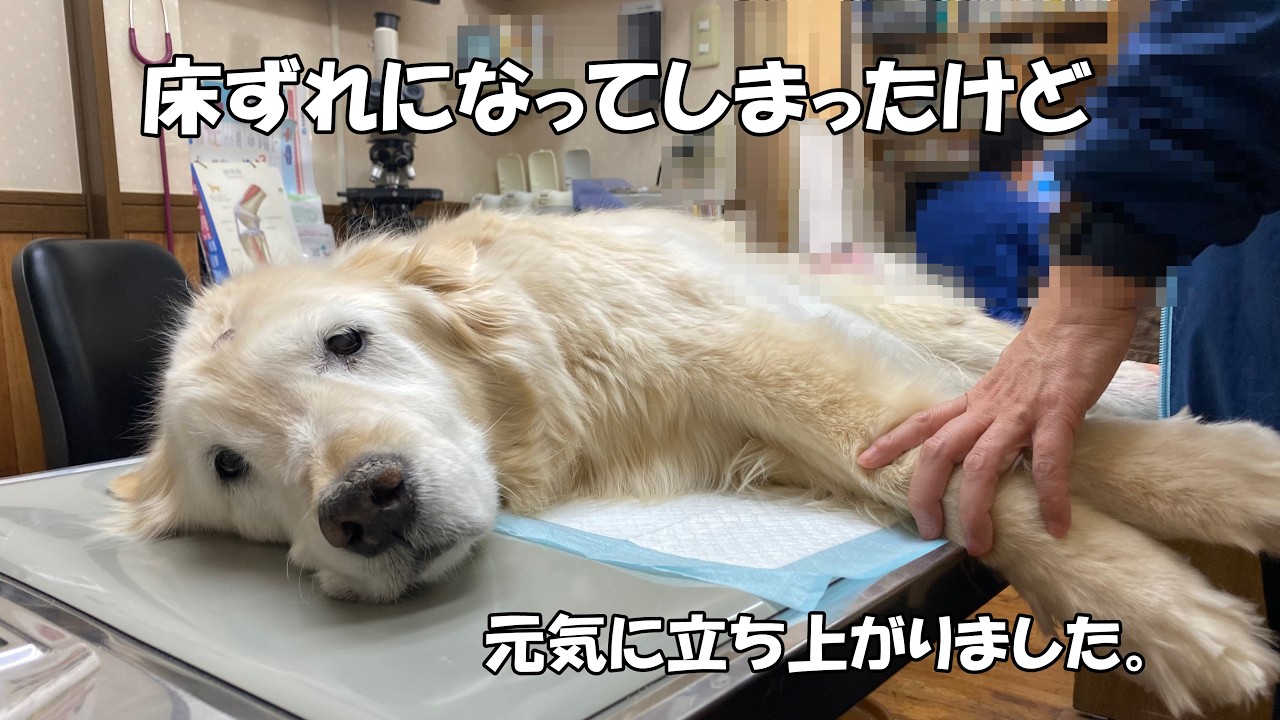 【体の事】床ずれになってしまいましたが、今まで通り生活は出来ていますし立ち上がることだって出来ています。