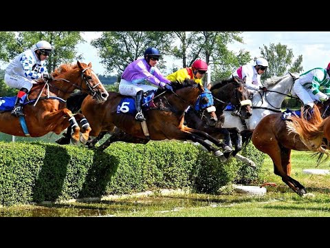 LIVE 🔴 | úterý 28. 9. 2021 – dostihy Lysá nad Labem