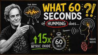 What Happens to YOUR BRAIN When You Hum for 60 Seconds?