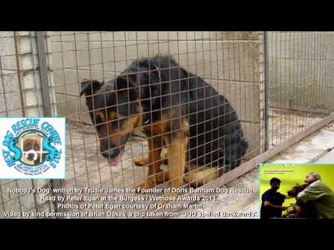 Desperate plea SAVE our unique life saving shelter