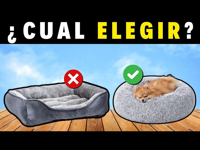 Vídeo relacionado con LUOJINYI Cama para perros, mullida, cojín para perros, redondo, cama para mascotas, donut y gatos, lavable con base antideslizante, para perros grandes, medianos y pequeños, 60 cm, gris claro