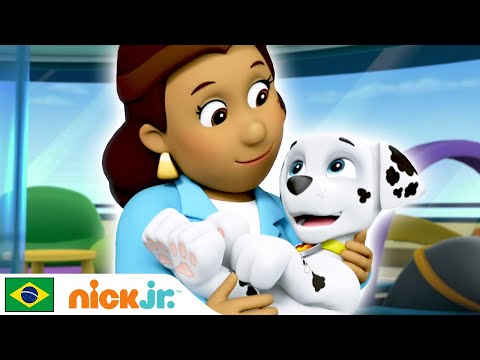 Capa de Patrulha Canina | Hora dos filhotes! - parte 2 | Nick Jr. em Português
