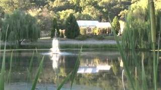 Sivananda Yoga Farm  - Swami Sitaramananda - YogiViews Trailer