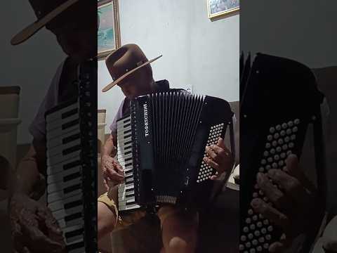 o sanfoneiro de fronteira dos vales mg #nixonmachadovariedades #cover