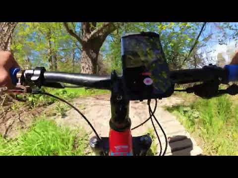 Mississauga Riverwood