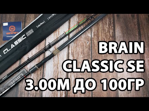 Фідер Brain Classic SE 3.00м / до 100гр — універсальне для озер і каналів + 3 вершинки в комплекті