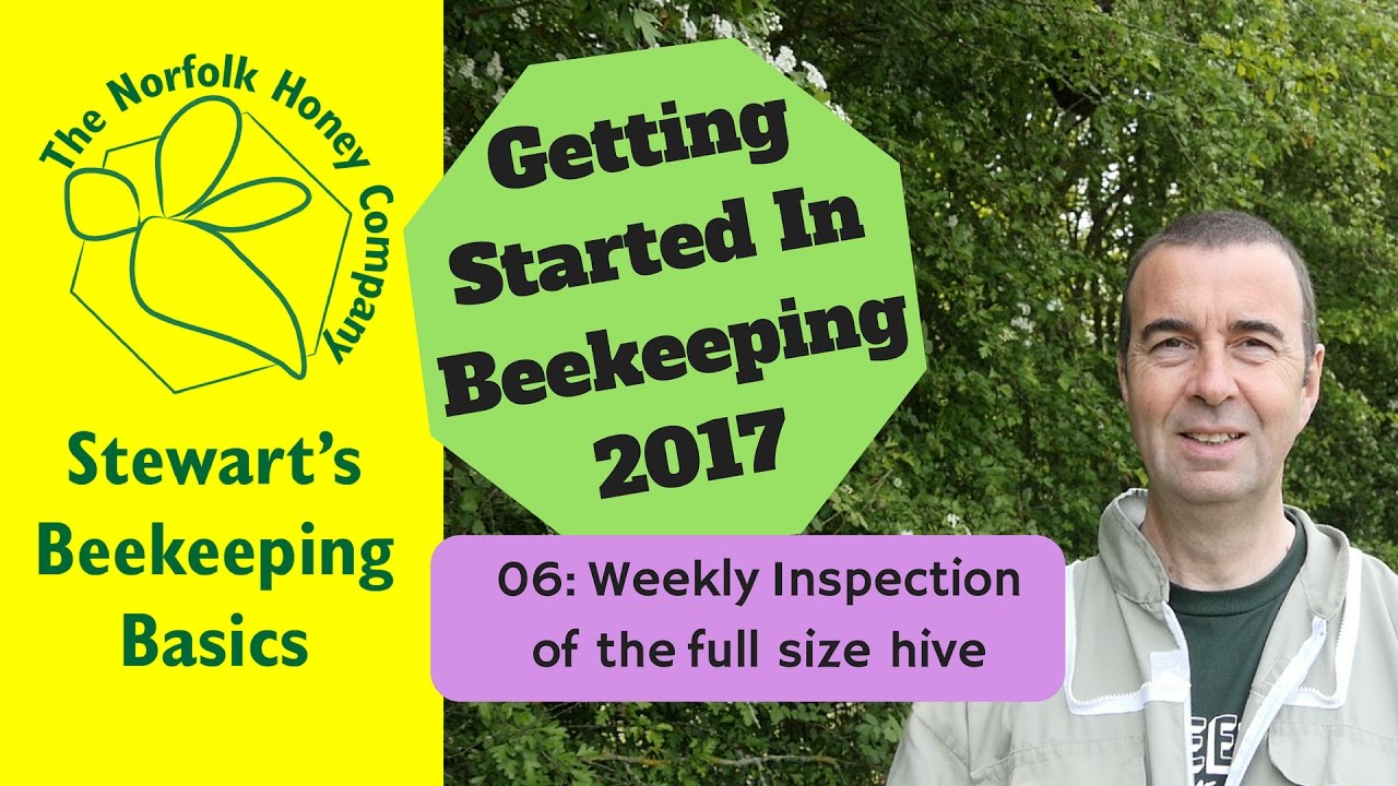 My First Beehive - Weekly Inspections