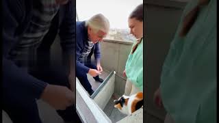 Погналась за птицей... Упала В ЩЕЛЬ... ВИСИТ между балконами 😱🏢💔