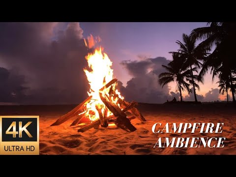 4K Beach Campfire Ambience at Sunrise in Tanzania - Relaxing Fire and Nature Sounds