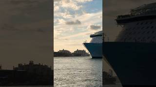 Symphony of the Seas 🛳️ #share #like #subscribe #comment #cruise #vacation #shortvideo #shortsvideo