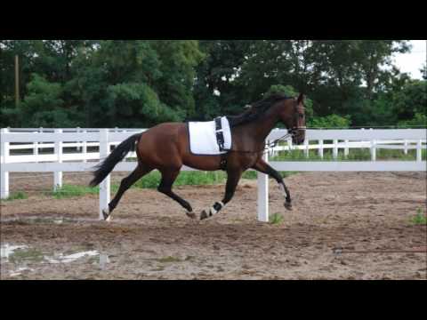 Rock for Gold B v. Rock Forever NRW www.zuchthof-bahnemann.de