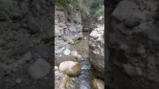 preview picture of video 'Robbers Cave Dehradun Full Journey.'