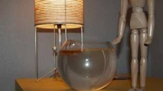 Marina and the Diamonds Numb Official Video