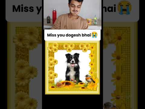 Miss You Dogesh Bhai     #shorts