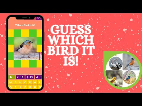Guess Which Bird It Is!