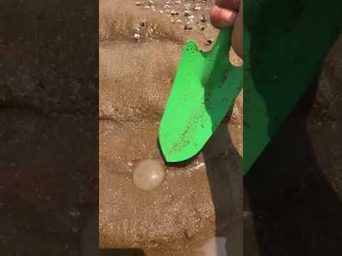 The happy life of fishermen every day 67