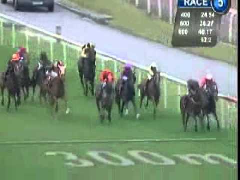 20101003 SG NOVICE 1200M (SC) - SIMPLY THE BEST (R Woodworth)