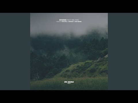 Past Oblivion (Juan Ibanez Remix)