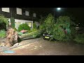 Valwind in Rheden: 'De boom viel bijna op ons' - RTL NIEUWS