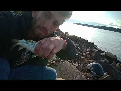 Pescando en candelaria misiones 