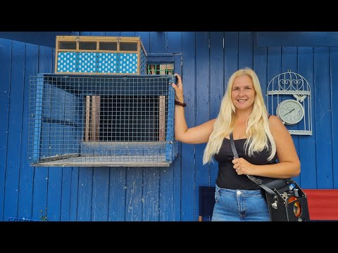 First Young Bird Race 2021