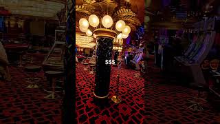 Che Cosa Vuoi da Me? 🤣#memedivertenti #cruisememe