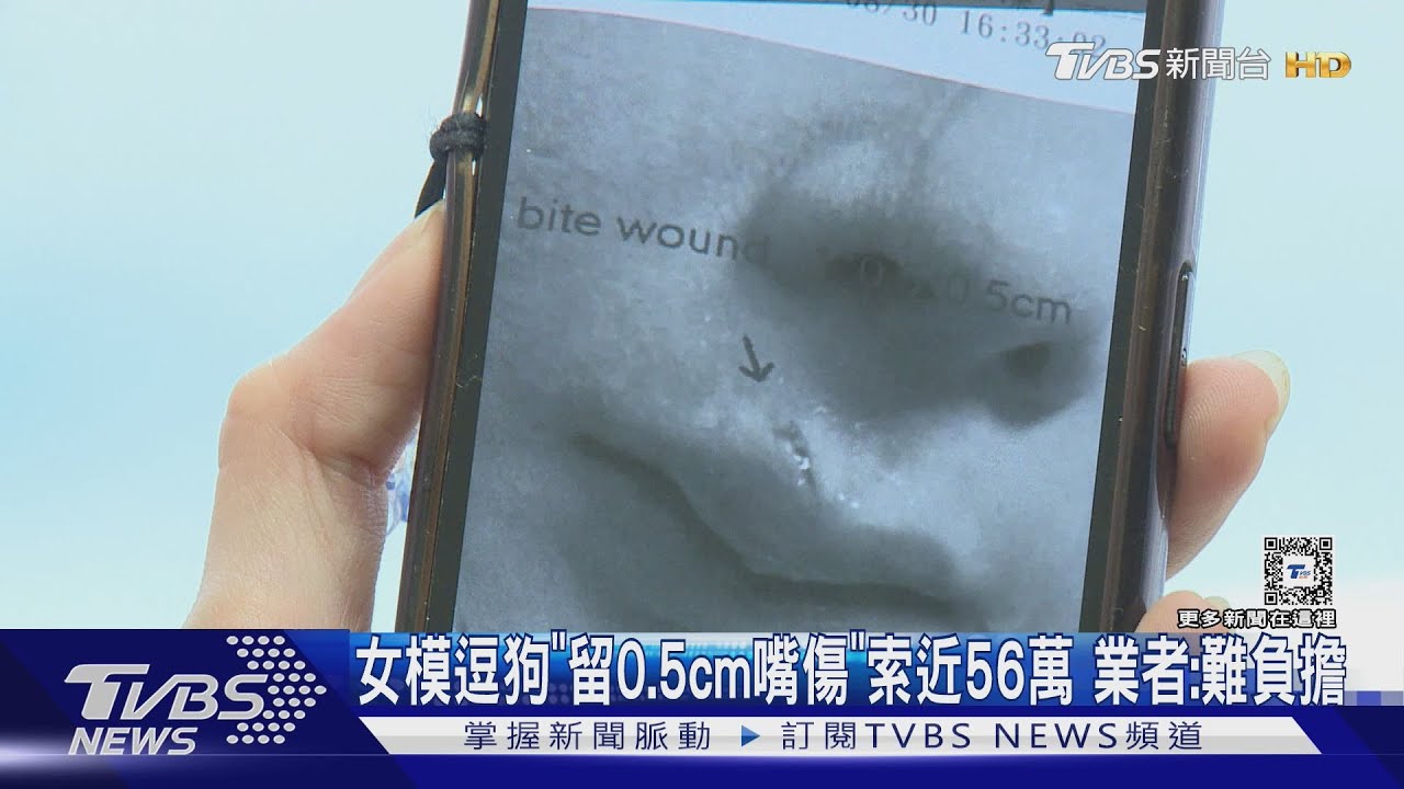 女模逗狗「留0.5cm嘴傷」索近56萬　業者：難負擔