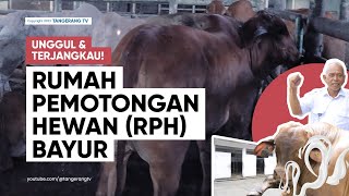 Download lagu Menengok Fasilitas Rumah Pemotongan Hewan (Rph) Bayur Kota Tangerang [TangerangTV] mp3