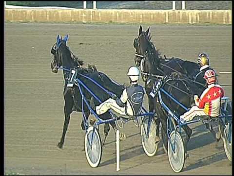 Trotto 20/11/2016 - 3ª corsa