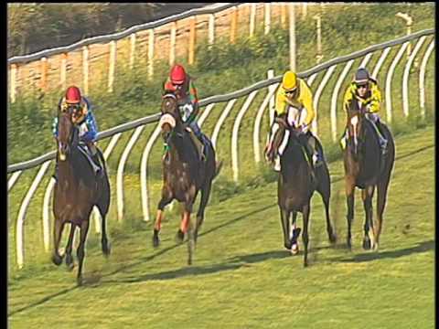 Galoppo 18/05/2017 - 6ª corsa