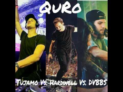 Tujamo vs. Hardwell vs. DVBBS - QuadRoaRz