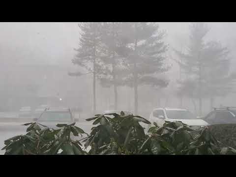 2-19-22 New Hampshire Snow Squall (Real Time) Start to Finish