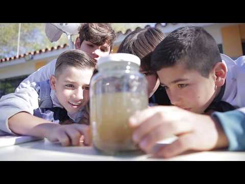 "Macrocientis", Escuela N° 88, Las Violetas, Canelones.