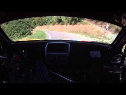CameraCar Rally del Tartufo 2013 Marasso - Canuto Peugeot 207 S 2000