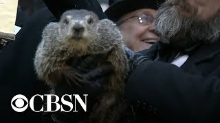 Groundhog Day 2019: Punxsutawney Phil makes his weather prediction