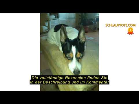 Produktbewertung NutriLabs Canicox-HD Gelenktabletten für Hunde 140 Stk. - mit MSM, Chondroitin, Hya