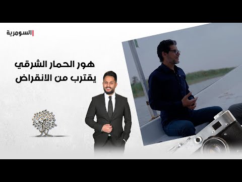 فيديو | هور الحمار الشرقي يقترب من الانقراض.. ما علاقة النفط؟